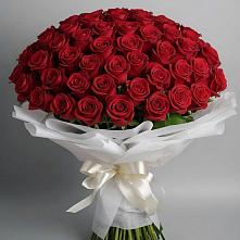 Букет 101 Красная роза Блэк Мэджик #REPLACE_PRED# Ивоте