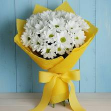 Букет цветов из:  Хризантемы в Ивоте