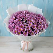 Букет цветов из:  Хризантемы в Ивоте