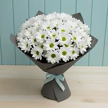 Букет цветов из:  Хризантемы #REPLACE_PRED# Ивоте