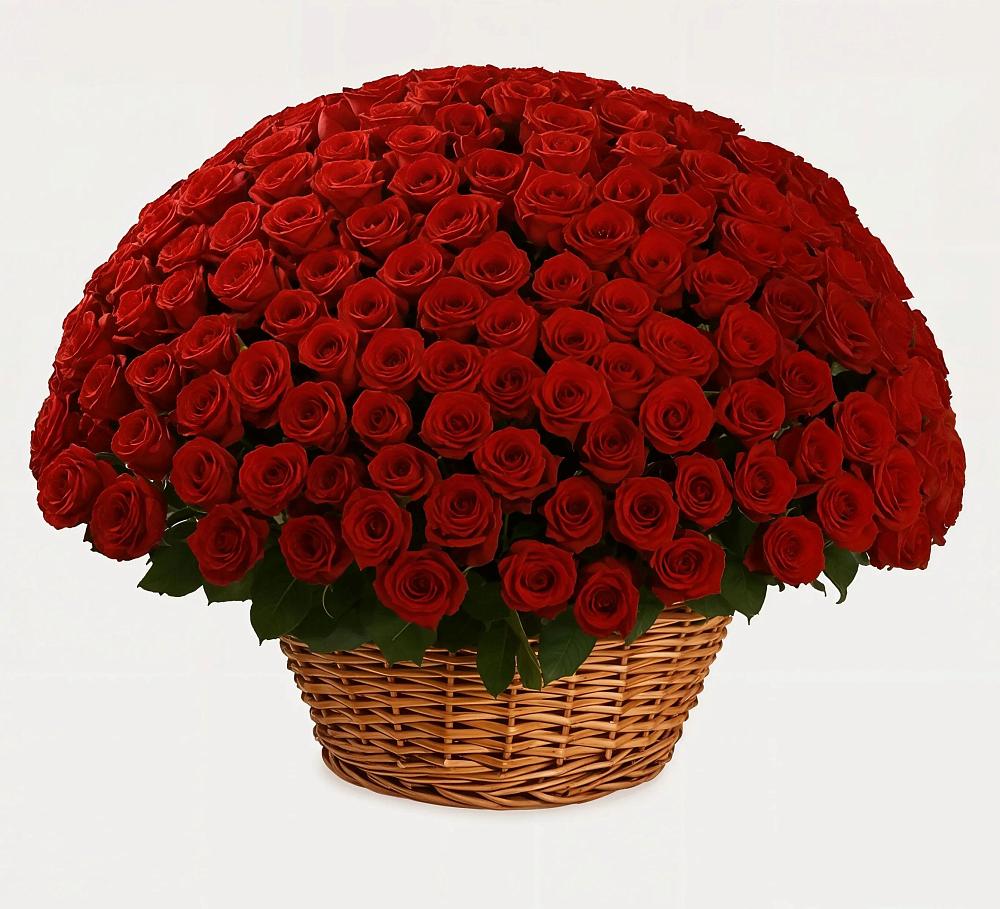 Премиум букет из: Розы в Ивоте