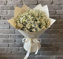 Букет цветов из:  Ромашки #REPLACE_PRED# Ивоте