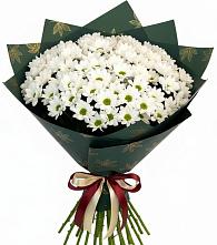 Букет цветов из:  Хризантемы в Ивоте