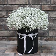 Цветочная композиция из Гипсофила в шляпной коробке #REPLACE_PRED# Ивоте