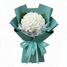 Букет цветов из:  Гортензия в Ивоте